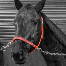 Load image into Gallery viewer, Braided Sidepull Rope Halter