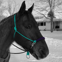Load image into Gallery viewer, Braided Sidepull Rope Halter