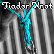 Load image into Gallery viewer, Knotted Noseband Rope Halter