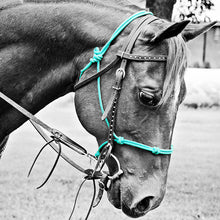 Load image into Gallery viewer, Knotted Noseband Rope Halter