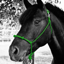 Load image into Gallery viewer, Knotted Noseband Rope Halter