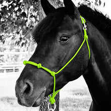 Load image into Gallery viewer, Knotted Noseband Rope Halter