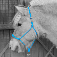Load image into Gallery viewer, Knotted Noseband Rope Halter