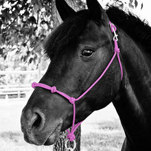 Load image into Gallery viewer, Knotted Noseband Rope Halter