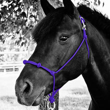 Load image into Gallery viewer, Knotted Noseband Rope Halter
