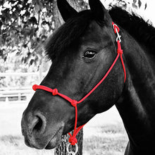 Load image into Gallery viewer, Knotted Noseband Rope Halter