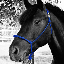 Load image into Gallery viewer, Knotted Noseband Rope Halter