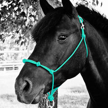 Load image into Gallery viewer, Knotted Noseband Rope Halter