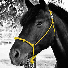 Load image into Gallery viewer, Knotted Noseband Rope Halter