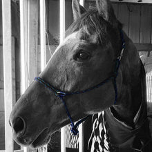 Load image into Gallery viewer, Sidepull Rope Halter