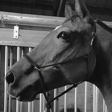 Load image into Gallery viewer, Sidepull Rope Halter