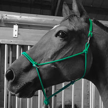 Load image into Gallery viewer, Sidepull Rope Halter
