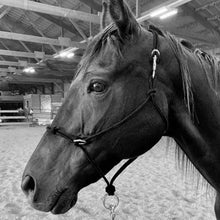 Load image into Gallery viewer, Knotted Sidepull Rope Halter