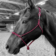 Load image into Gallery viewer, Knotted Sidepull Rope Halter