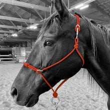 Load image into Gallery viewer, Knotted Sidepull Rope Halter