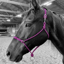 Load image into Gallery viewer, Knotted Sidepull Rope Halter