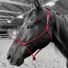 Load image into Gallery viewer, Knotted Sidepull Rope Halter