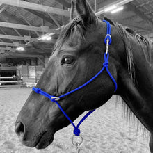 Load image into Gallery viewer, Knotted Sidepull Rope Halter