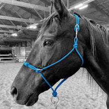Load image into Gallery viewer, Knotted Sidepull Rope Halter