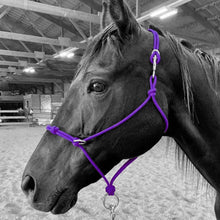 Load image into Gallery viewer, Knotted Sidepull Rope Halter