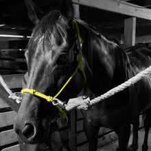 Load image into Gallery viewer, Knotted Sidepull Rope Halter