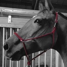 Load image into Gallery viewer, Sidepull Rope Halter
