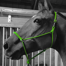 Load image into Gallery viewer, Sidepull Rope Halter
