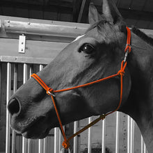 Load image into Gallery viewer, Sidepull Rope Halter
