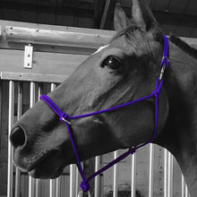 Load image into Gallery viewer, Sidepull Rope Halter