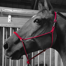 Load image into Gallery viewer, Sidepull Rope Halter