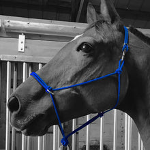 Load image into Gallery viewer, Sidepull Rope Halter