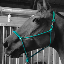 Load image into Gallery viewer, Sidepull Rope Halter