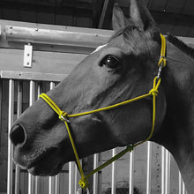 Load image into Gallery viewer, Sidepull Rope Halter