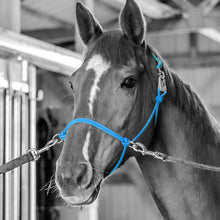 Load image into Gallery viewer, Sidepull Rope Halter