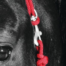 Load image into Gallery viewer, Knotted Noseband Rope Halter