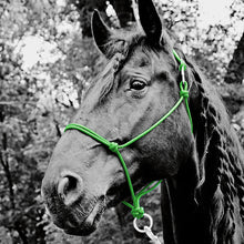 Load image into Gallery viewer, Do Or Do Knot Rope Halter