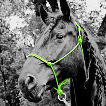 Load image into Gallery viewer, Do Or Do Knot Rope Halter