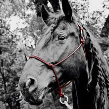 Load image into Gallery viewer, Do Or Do Knot Rope Halter