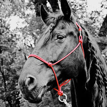 Load image into Gallery viewer, Do Or Do Knot Rope Halter