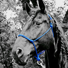 Load image into Gallery viewer, Do Or Do Knot Rope Halter