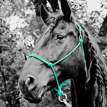 Load image into Gallery viewer, Do Or Do Knot Rope Halter