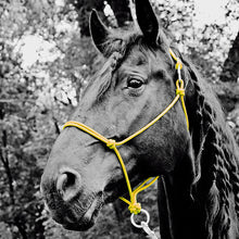 Load image into Gallery viewer, Do Or Do Knot Rope Halter