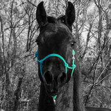 Load image into Gallery viewer, Do Or Do Knot Rope Halter