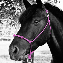 Load image into Gallery viewer, Knotted Noseband Rope Halter
