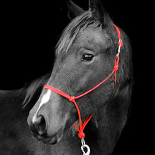 Load image into Gallery viewer, Do Or Do Knot Rope Halter

